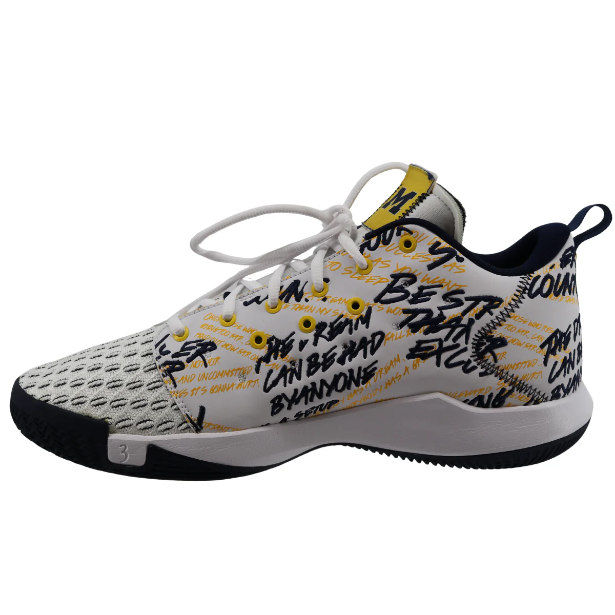 Air Jordan CP3.XII Michigan Wolverines "Road" - Image 2