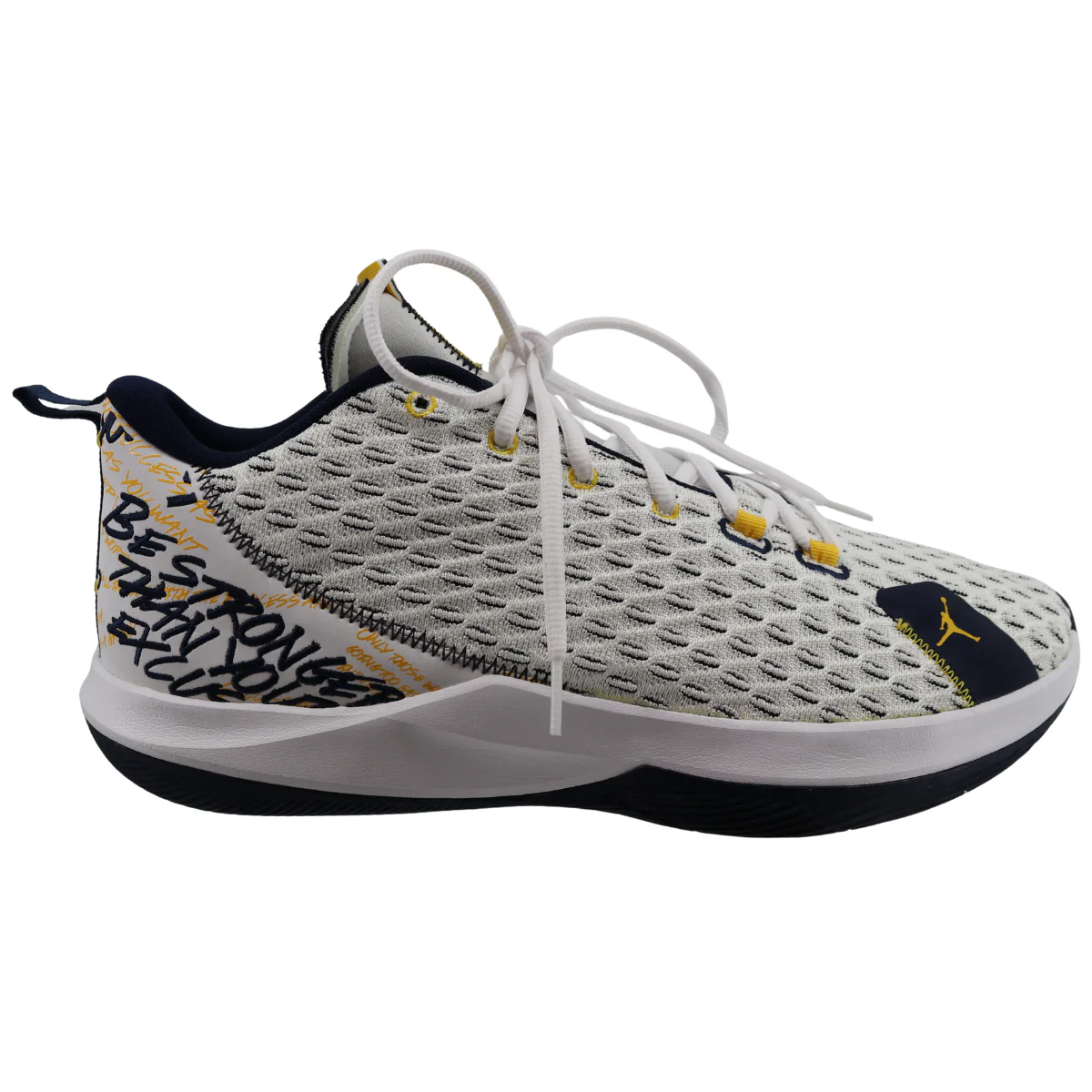 Air Jordan CP3.XII Michigan Wolverines "Road" - Image 4