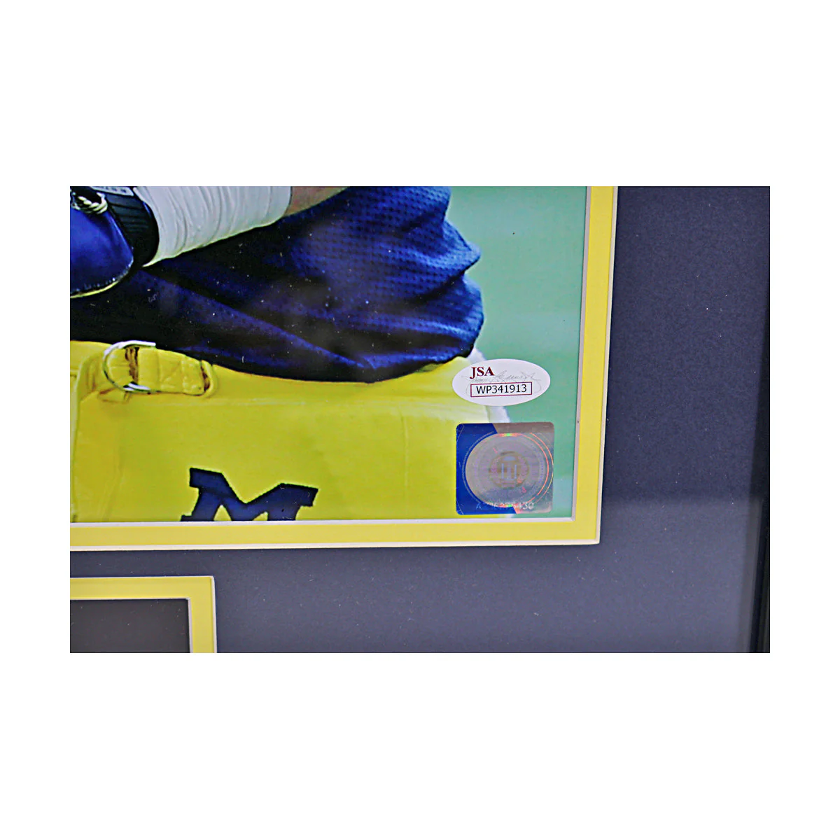 Jake Butt Signed Michigan Wolverines 16x20 Celebration Framed Photo (JSA COA) - Image 3