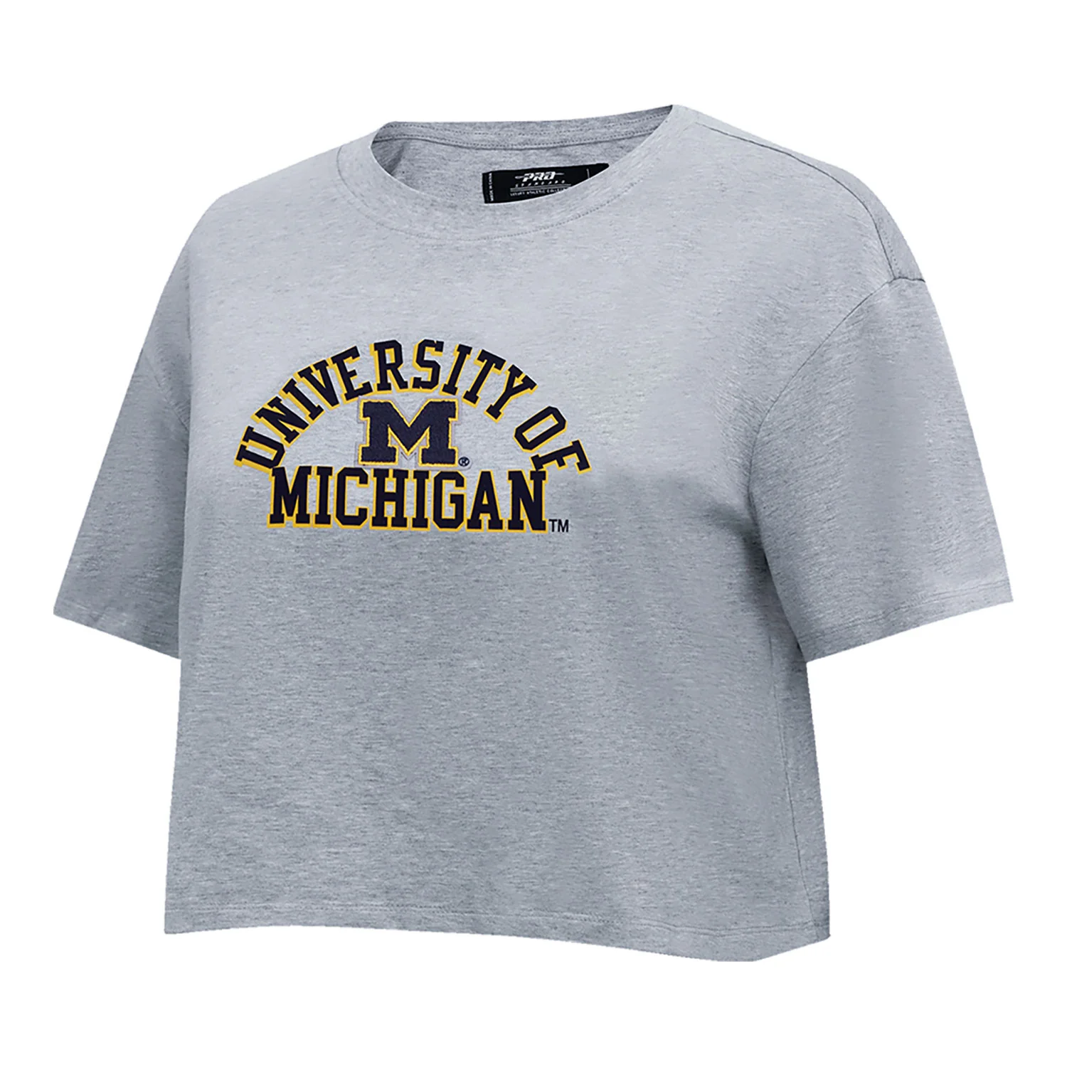 Michigan Wolverines Women's Classic Grey SJ Boxy Tee