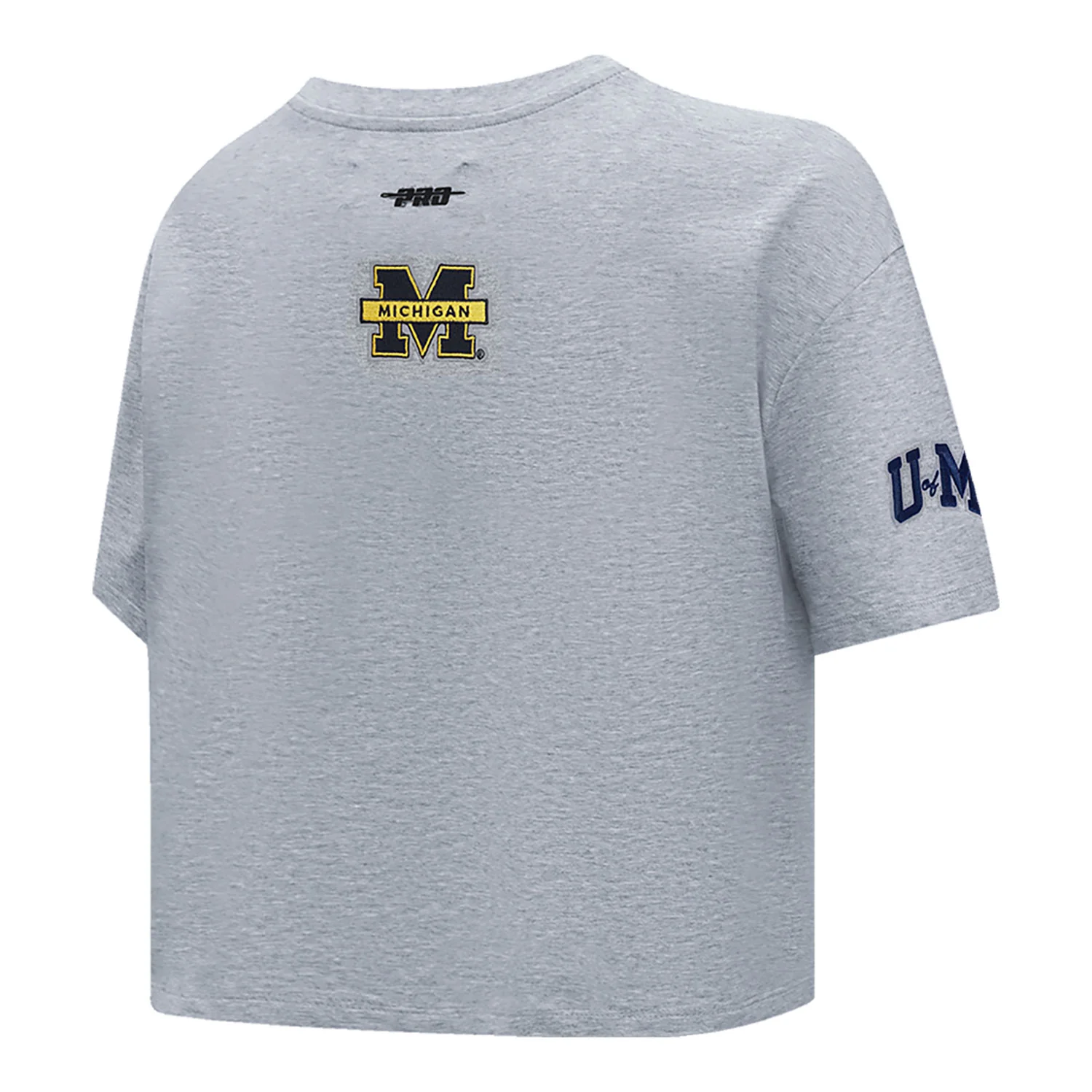 Michigan Wolverines Women's Classic Grey SJ Boxy Tee - Image 2