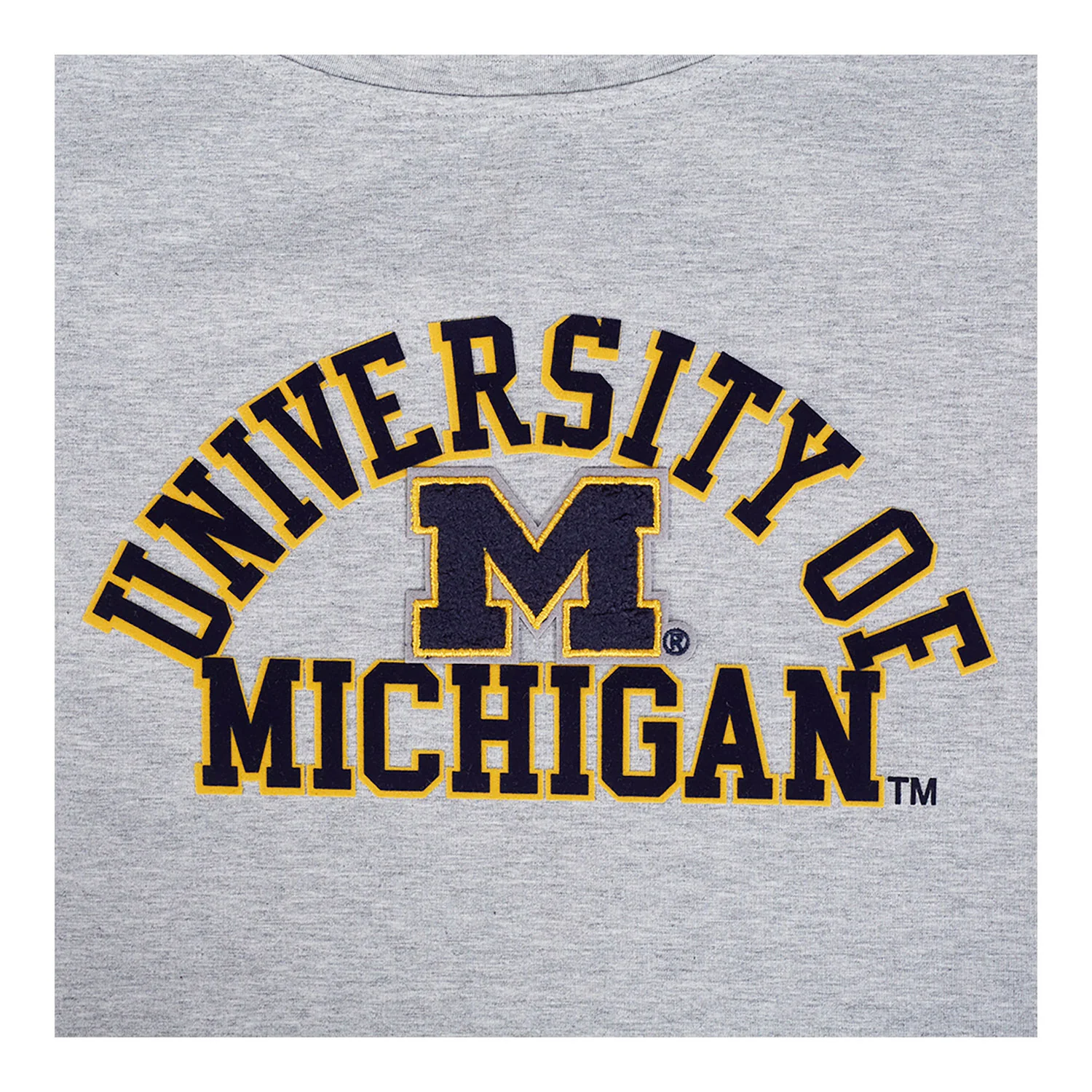 Michigan Wolverines Women's Classic Grey SJ Boxy Tee - Image 5