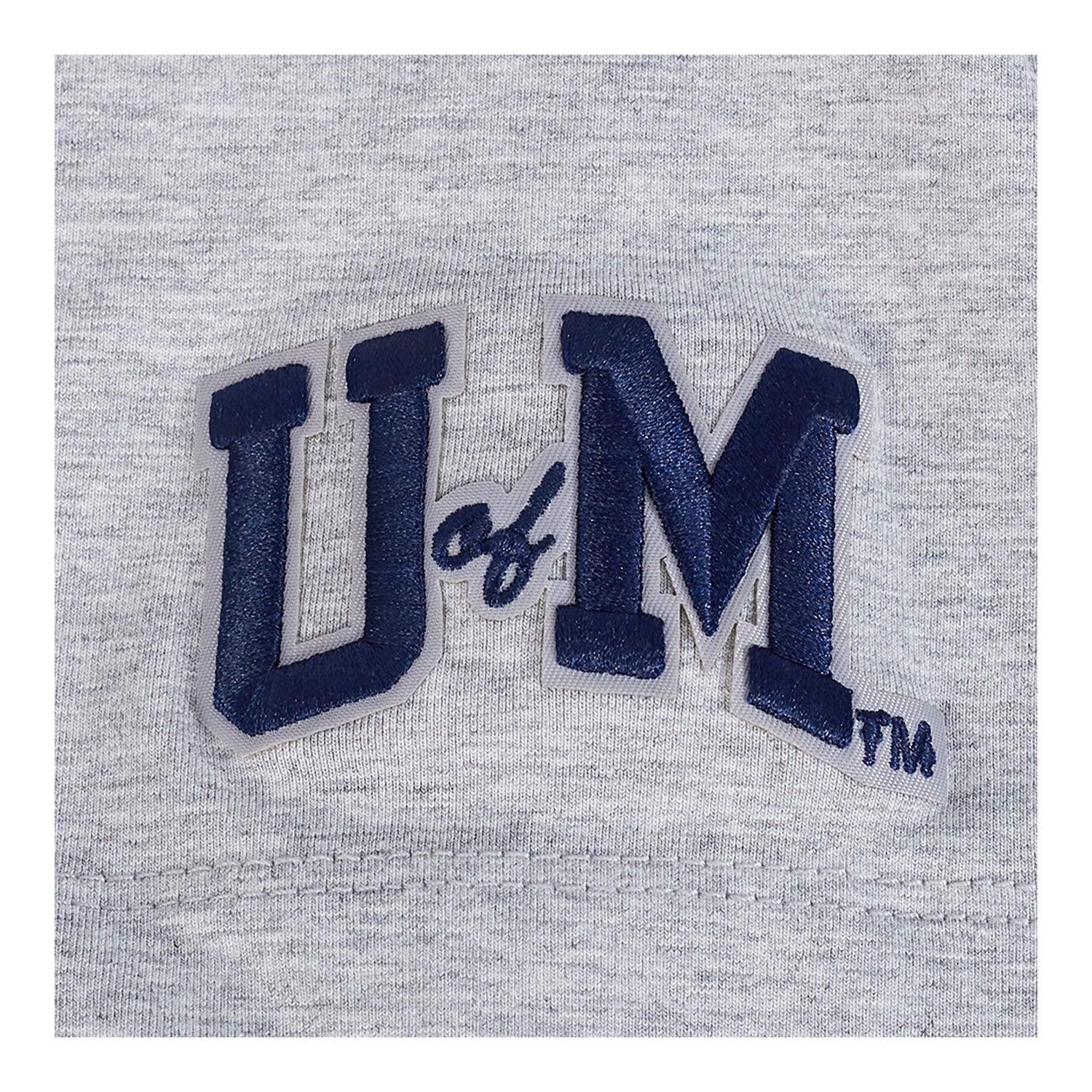 Michigan Wolverines Women's Classic Grey SJ Boxy Tee - Image 6