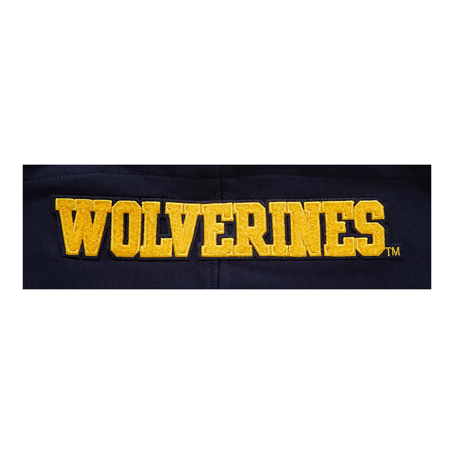 Michigan Wolverines Classic DK Pullover Hoodie - Image 5