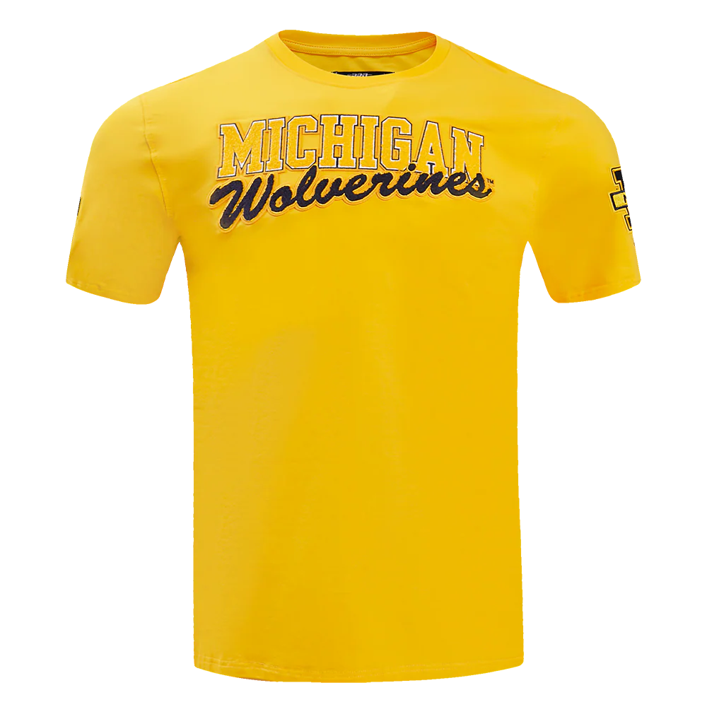 Michigan Wolverines Pro Standard T-Shirt