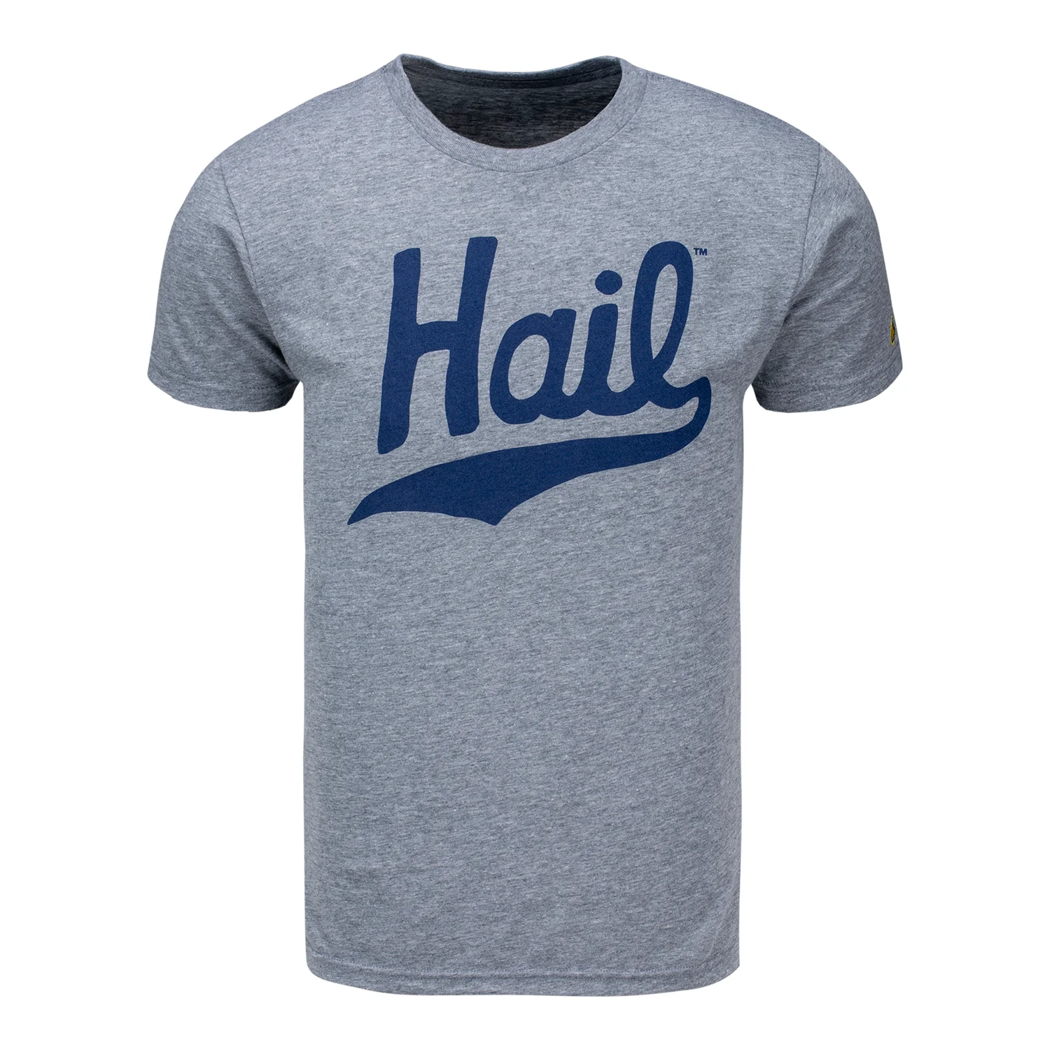 Michigan Wolverines 'Hail' T-Shirt
