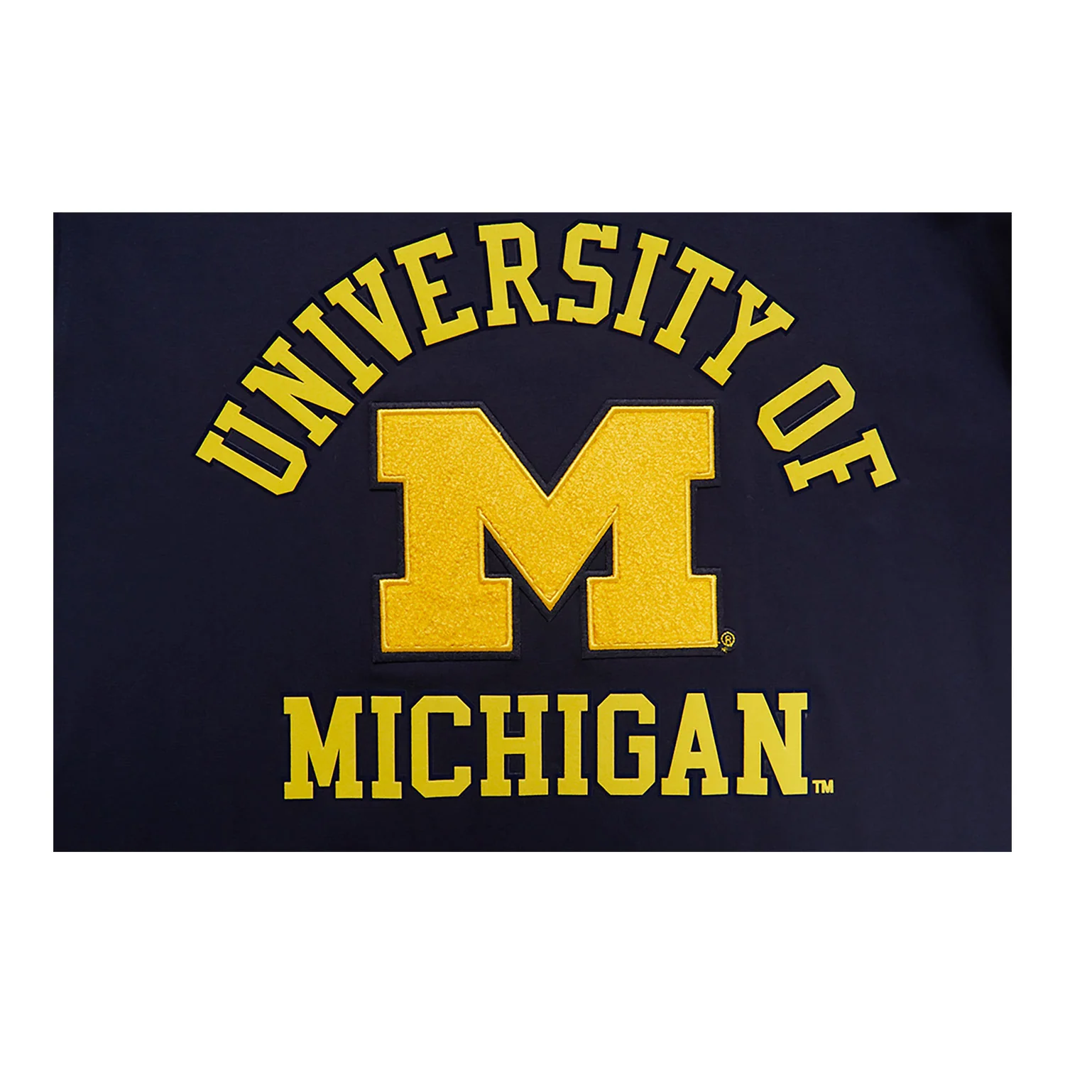 Michigan Wolverines Classic Stacked Logo SJ Tee - Image 5
