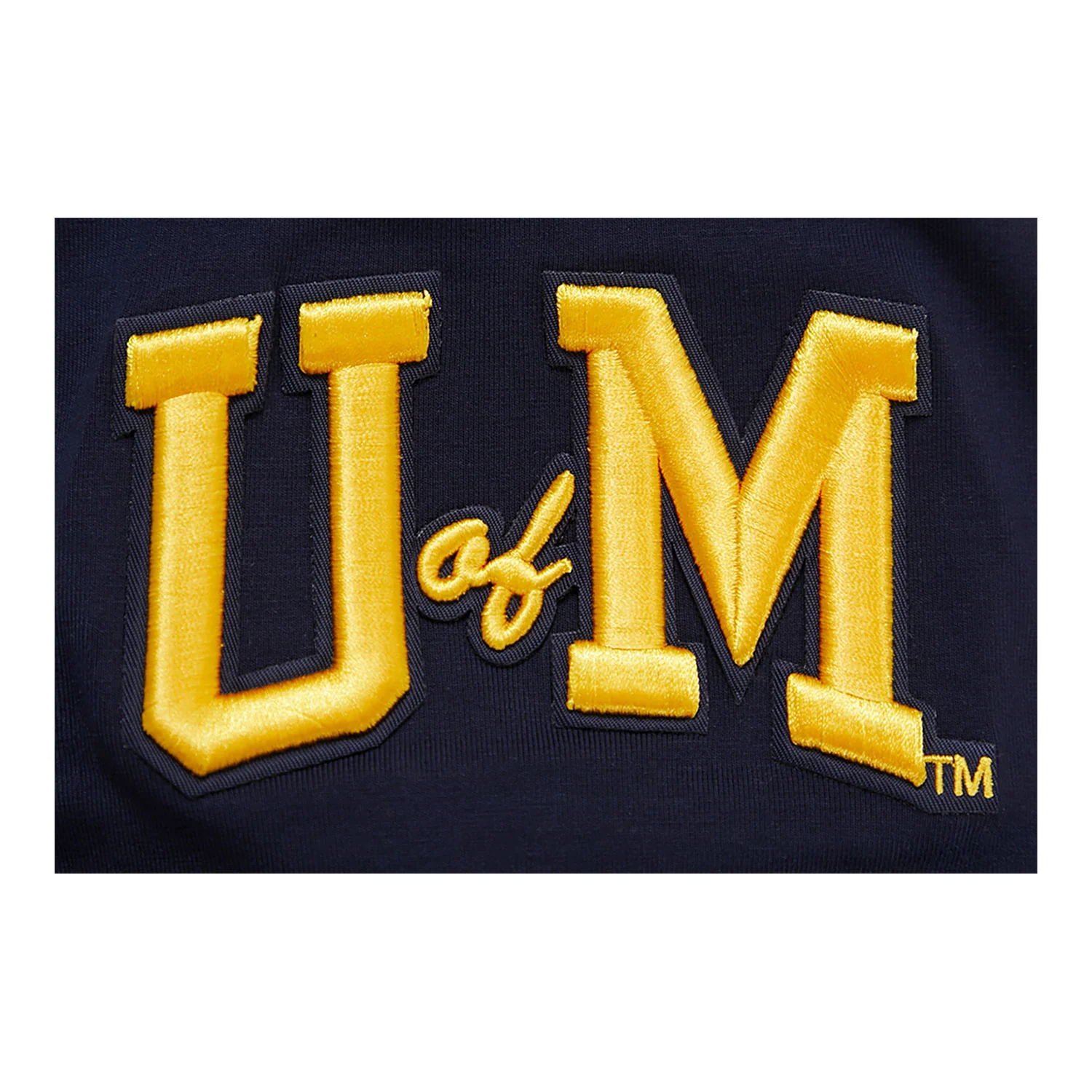 Michigan Wolverines Classic Stacked Logo SJ Tee - Image 6