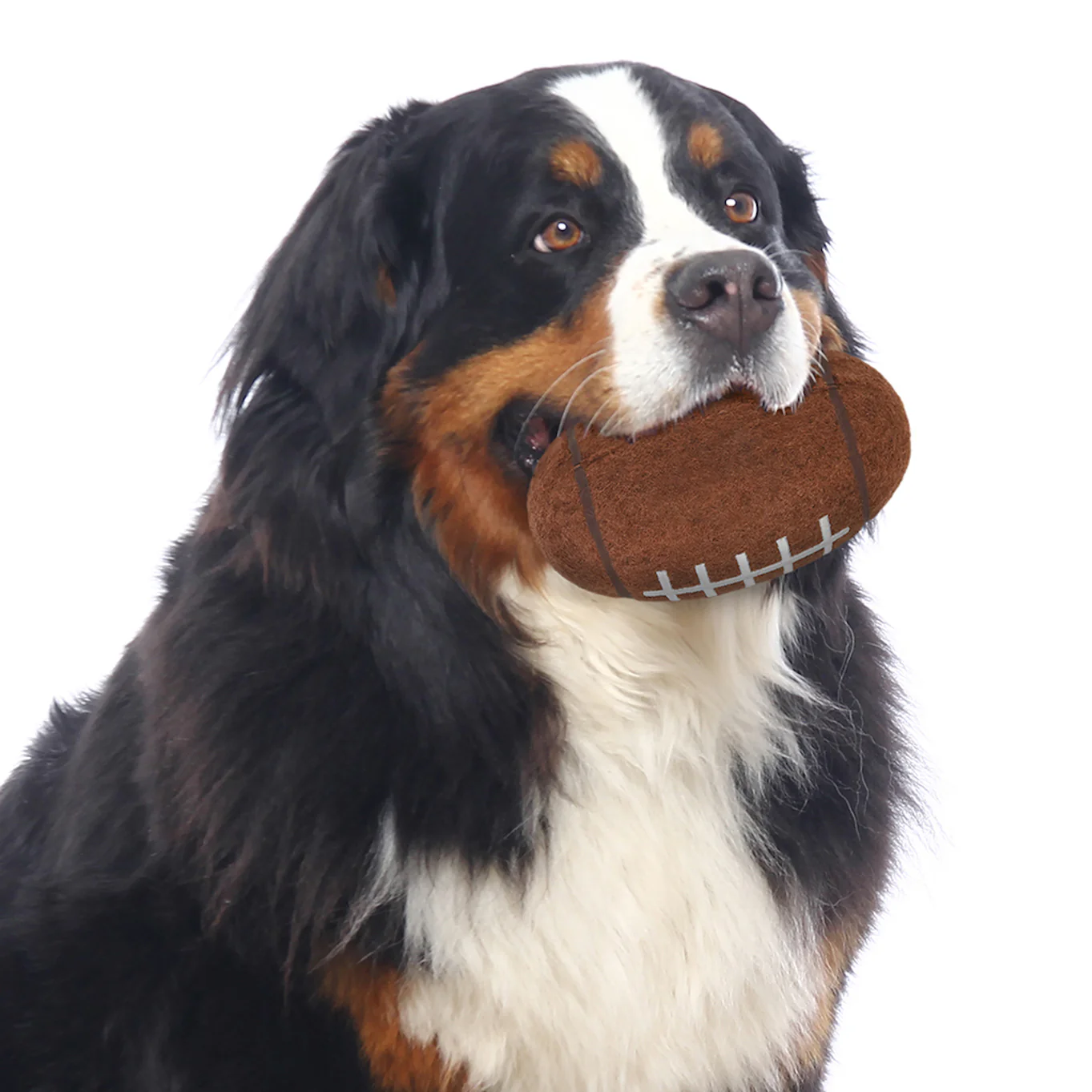 Michigan Wolverines Chewer Football Pet Toy - Image 2
