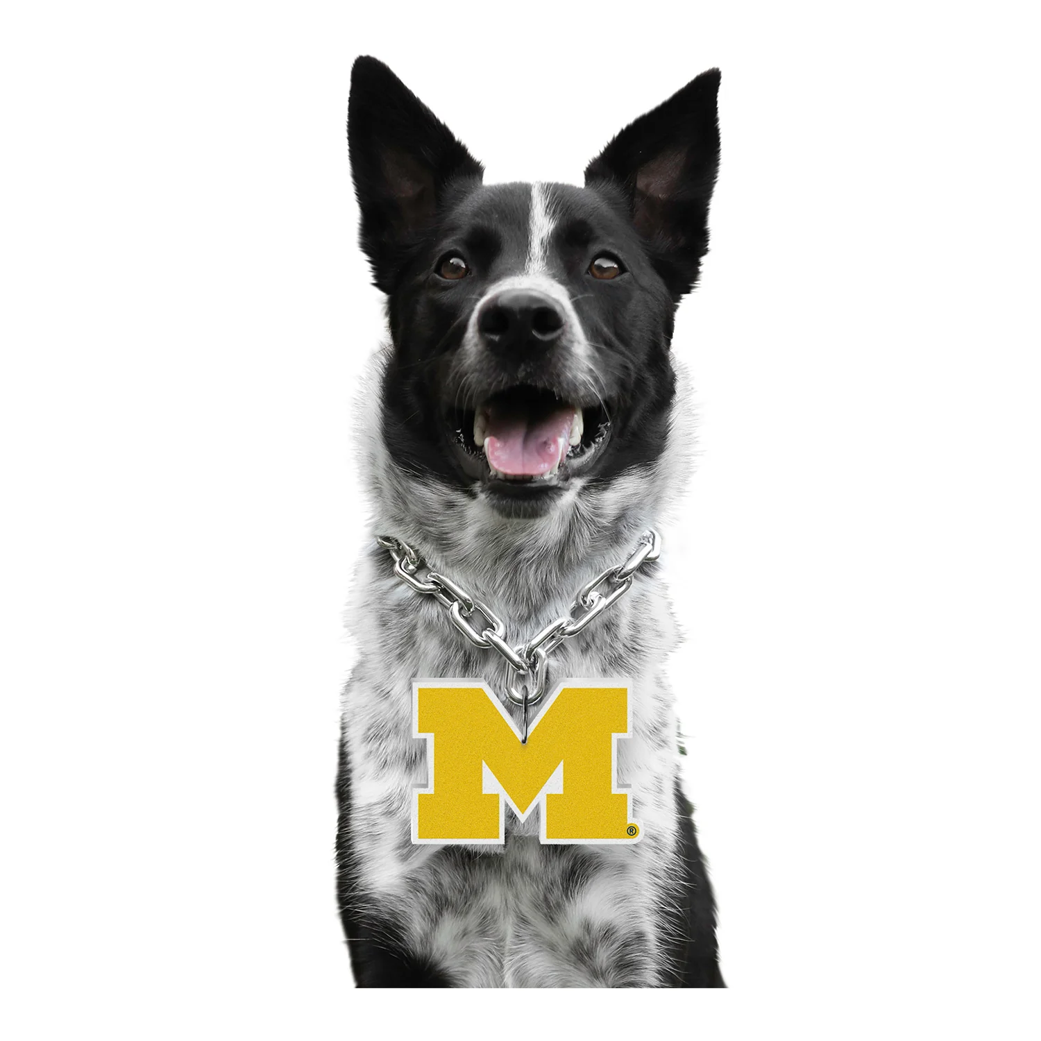 Michigan Wolverines Pet Fan Chain - Image 2