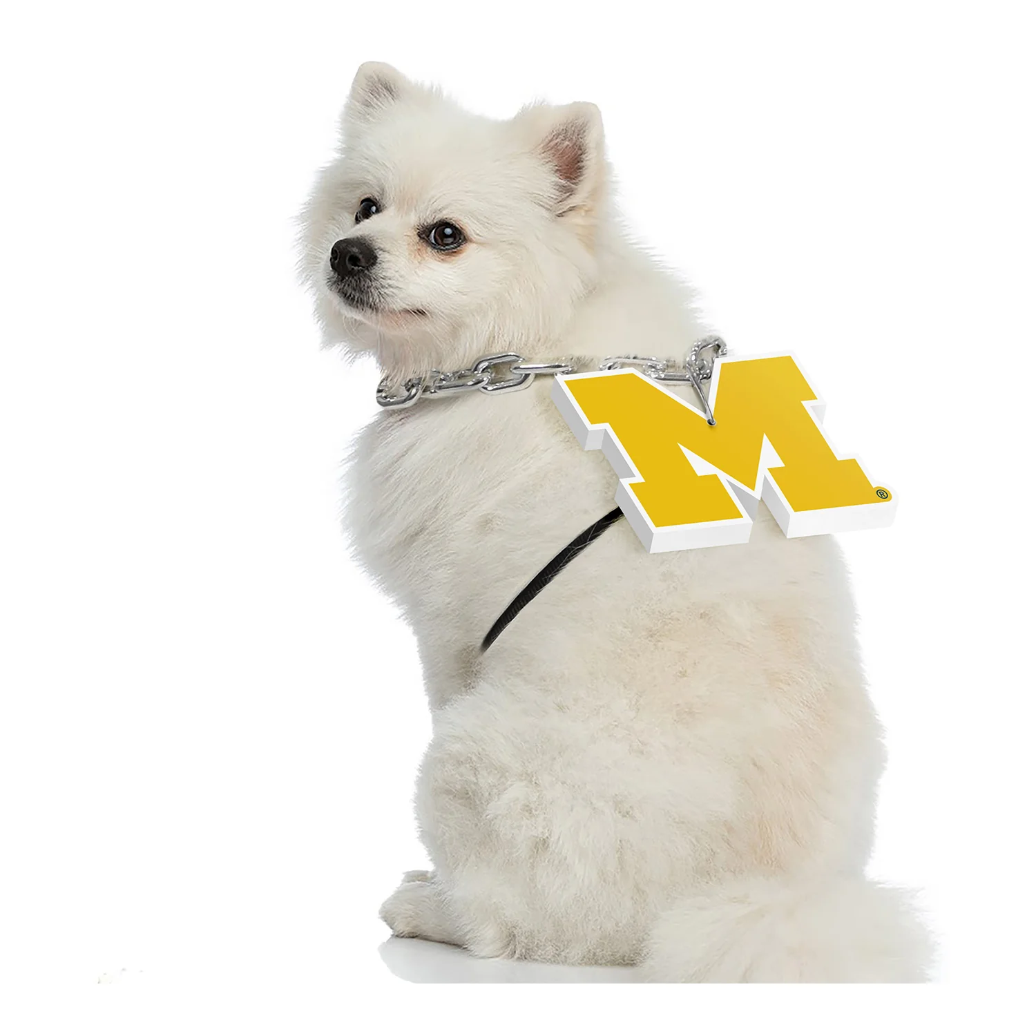 Michigan Wolverines Pet Fan Chain - Image 3