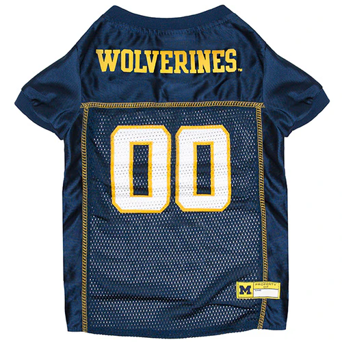 Michigan Wolverines Mesh Pet Jersey