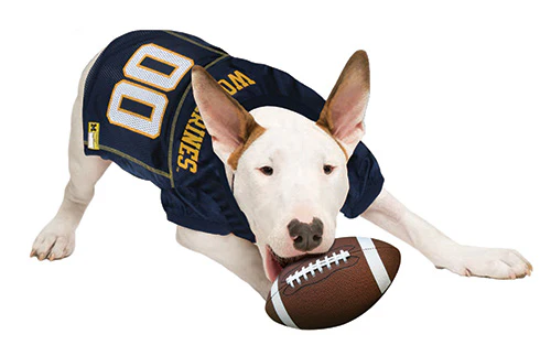 Michigan Wolverines Mesh Pet Jersey - Image 4