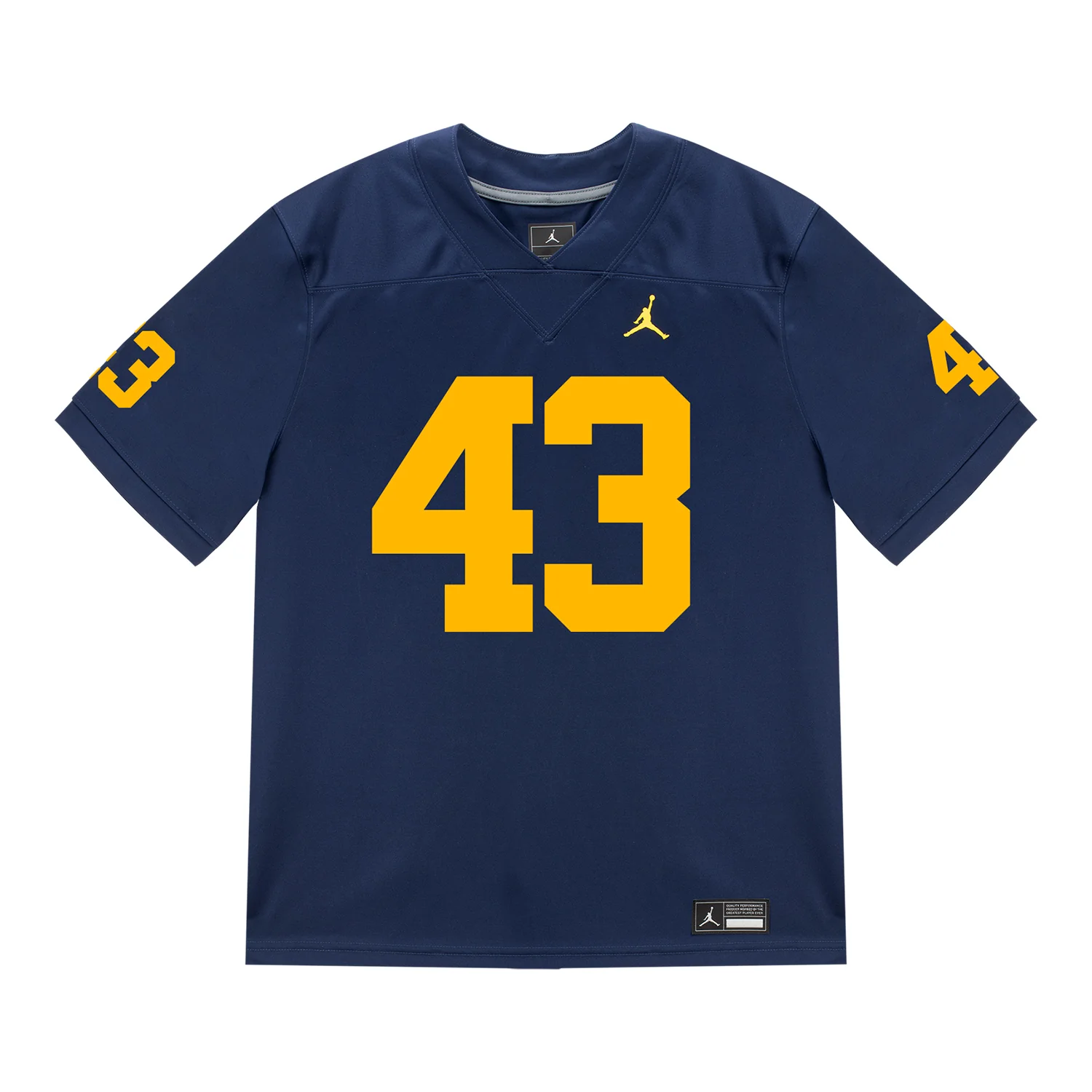 Michigan Wolverines #43 Zach Ludwig Student Athlete Blue Football Jersey - Image 2