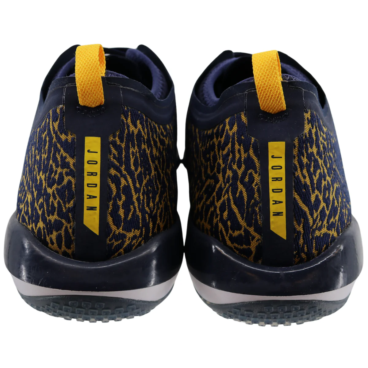 Nike Air Jordan Trainer 1 Low Cheetah Print - Image 2