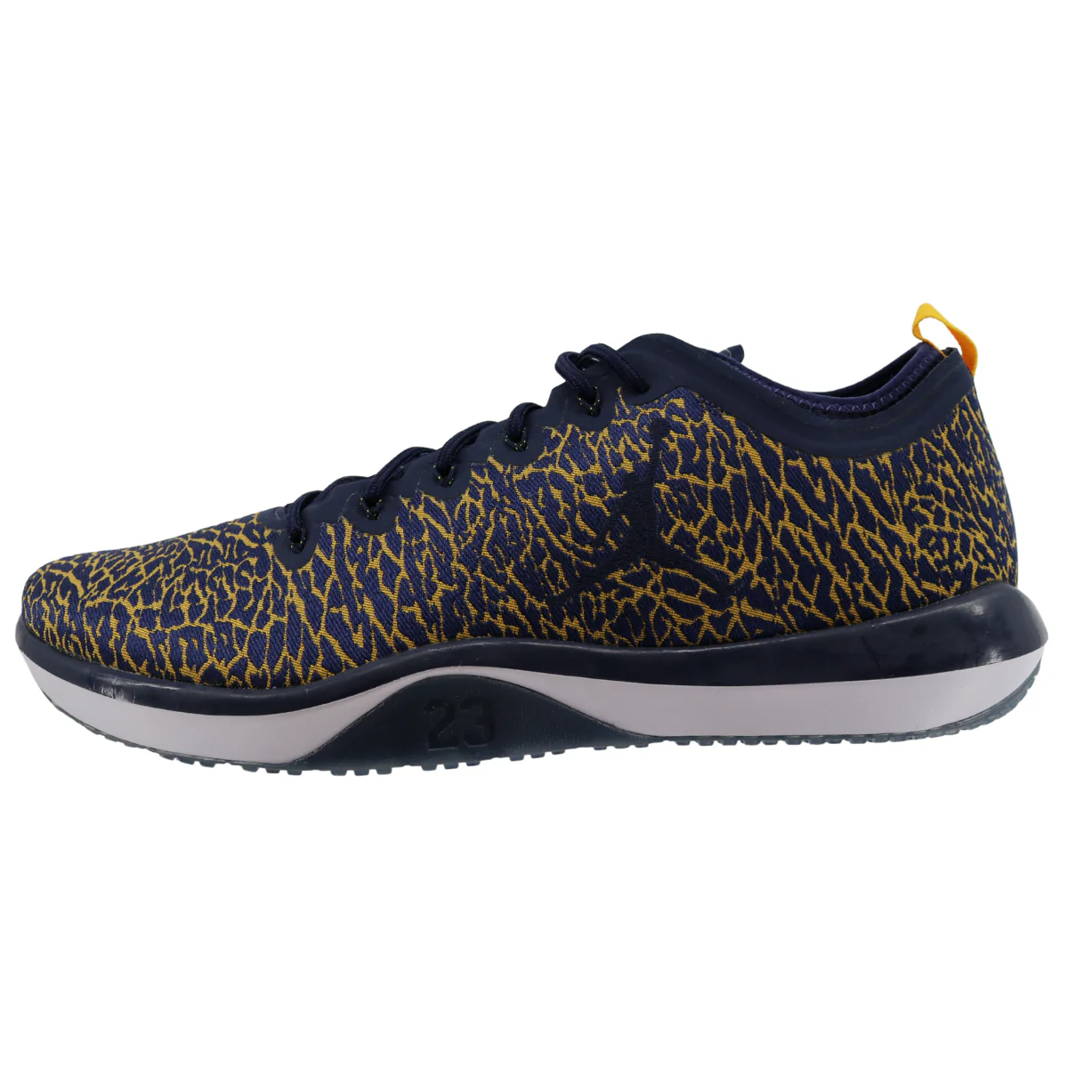 Nike Air Jordan Trainer 1 Low Cheetah Print - Image 5