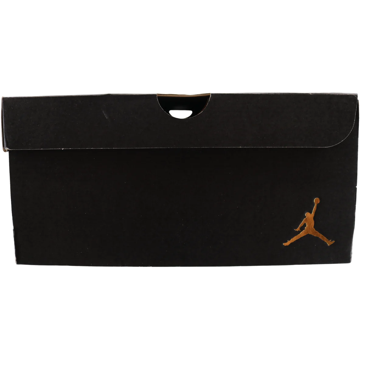 Nike Air Jordan Trainer 1 Low Cheetah Print - Image 6