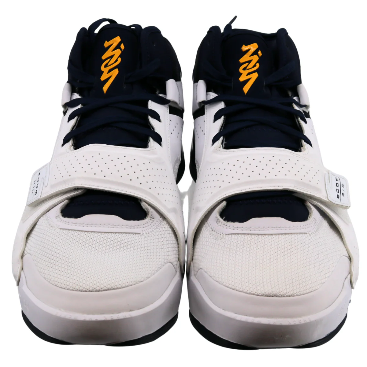 Nike Air Jordan Zion 2 Michigan Wolverines P White