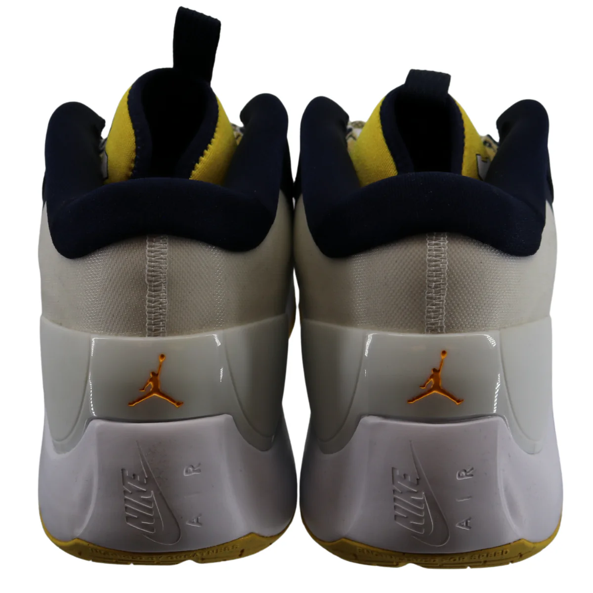 Nike Air Jordan Zoom Separate Michigan Wolverines P White - Image 2