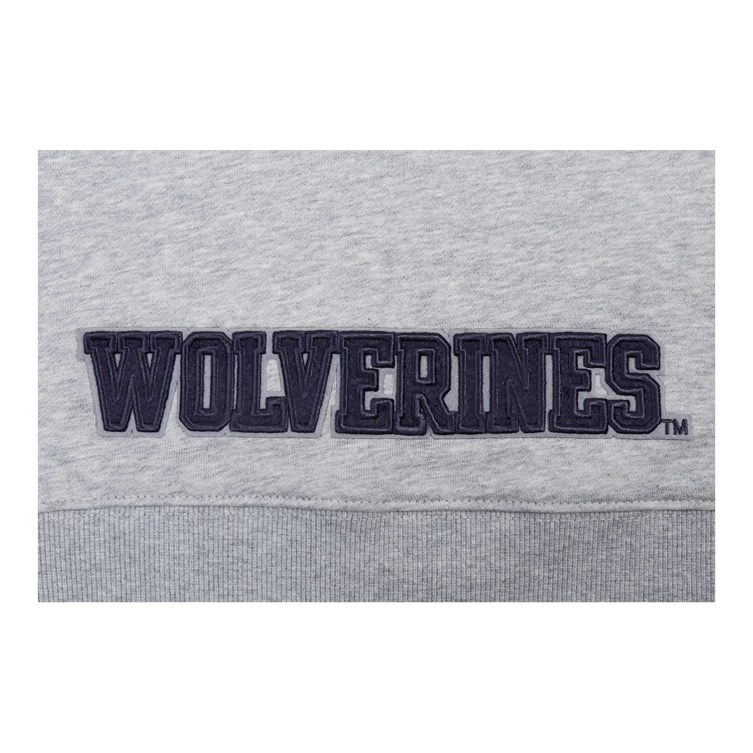 Women's Michigan Wolverines Pro Standard Cropped Hoodie - Image 8